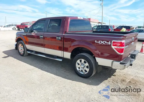 2009 Ford F-150 Xl/Xlt из США, поврежденный, VIN 1FTRW14899FA68562